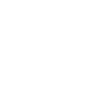 Nmp Inv